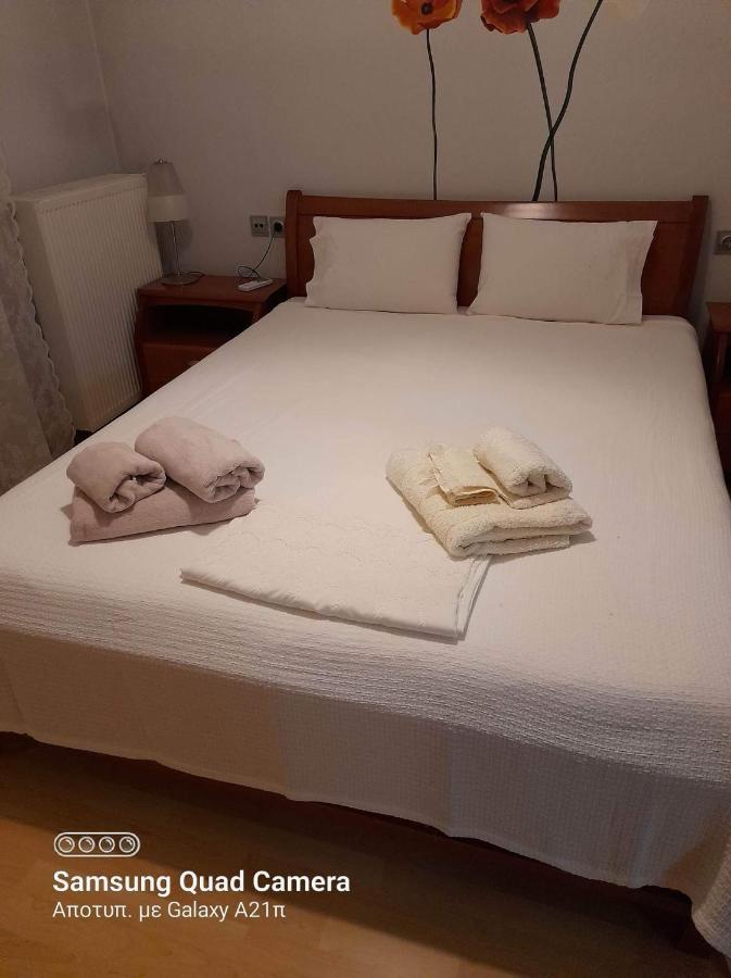 Museum Apartment Βόλος Εξωτερικό φωτογραφία