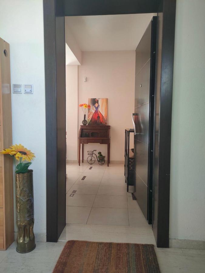 Museum Apartment Βόλος Εξωτερικό φωτογραφία